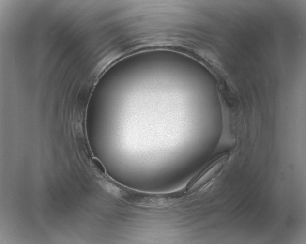 X0000078001273200611101745