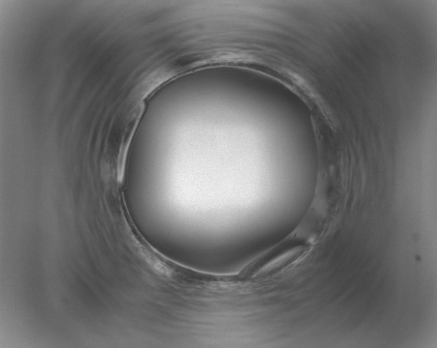X0000078001281200611101745