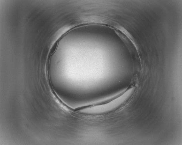 X0000078001293200611101744