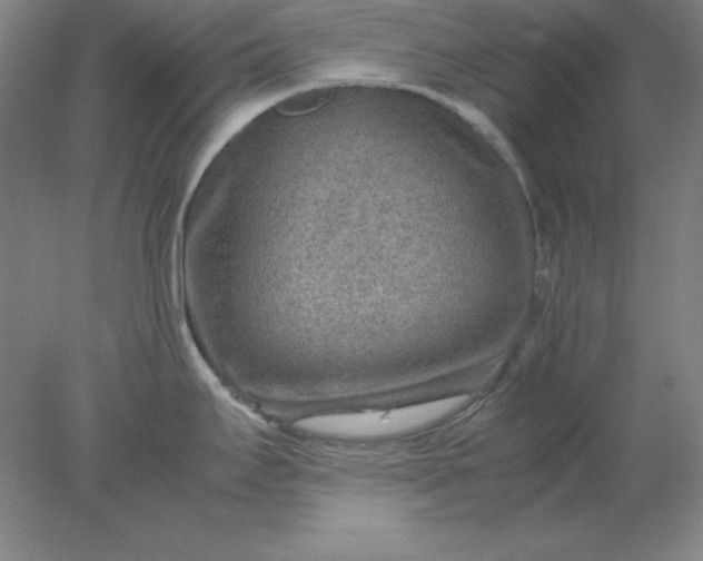 X0000078001295200611101744