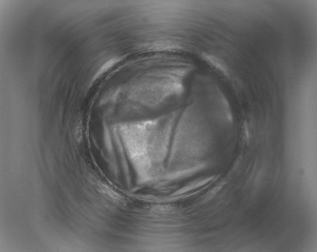 X0000078001306200611101744