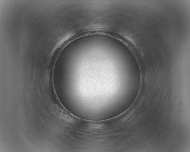 X0000078001309200611101744