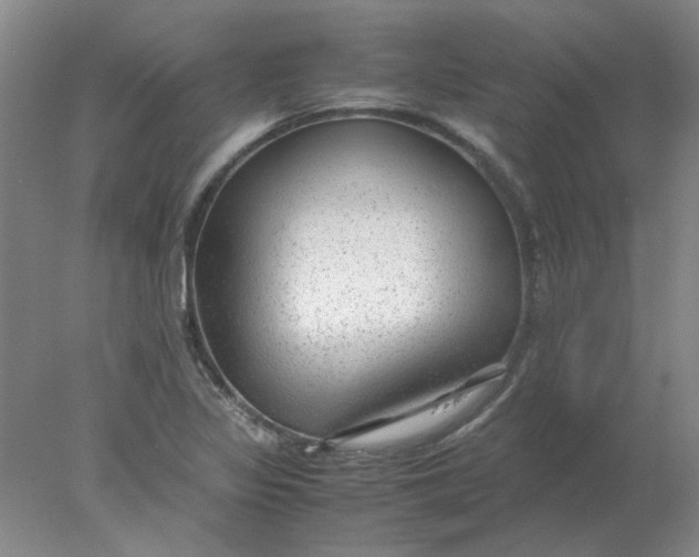 X0000078001317200611101744