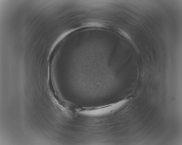 X0000078001323200611101744