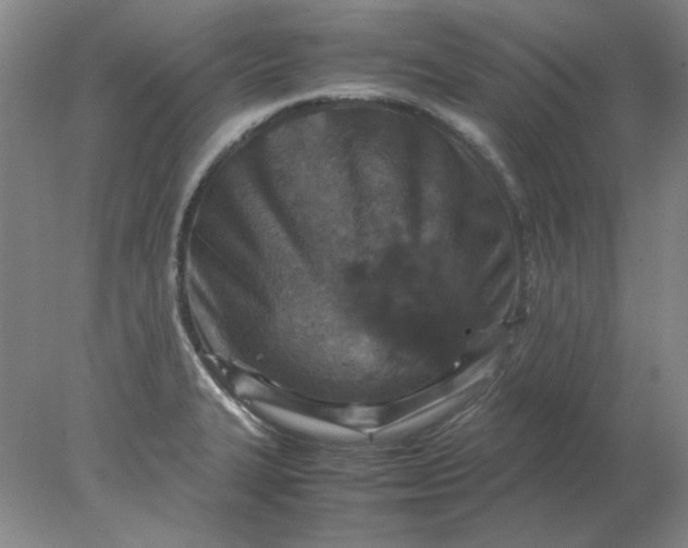 X0000078001327200611101744