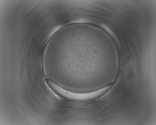 X0000078001329200611101744
