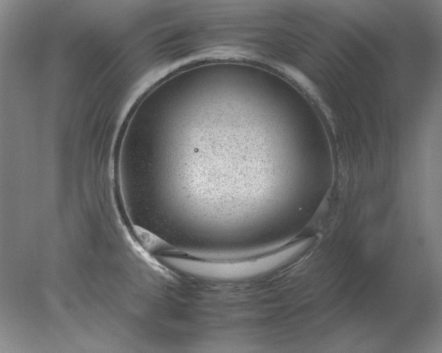 X0000078001335200611101744