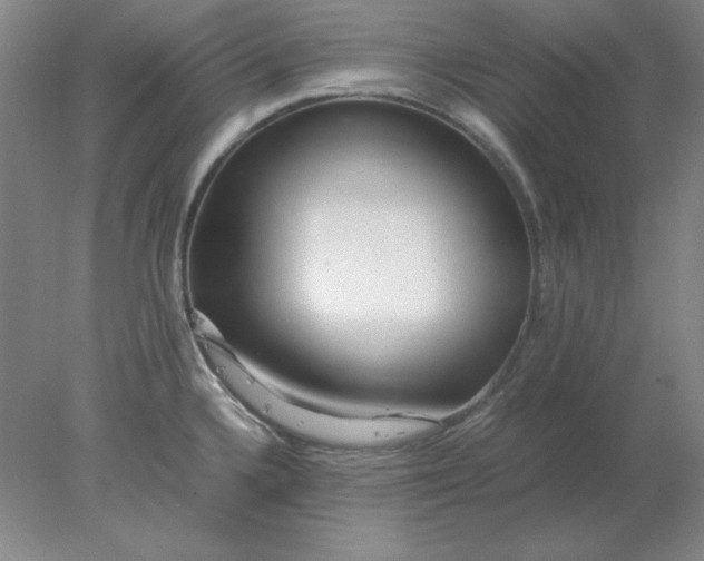 X0000078001336200611101744