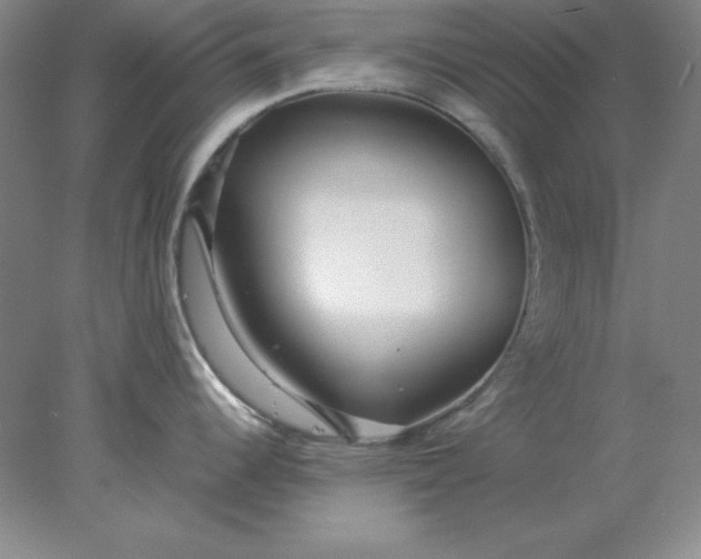 X0000078001344200611101744