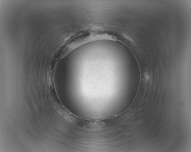 X0000078001348200611101743