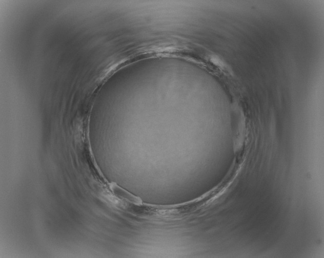 X0000078001353200611101743