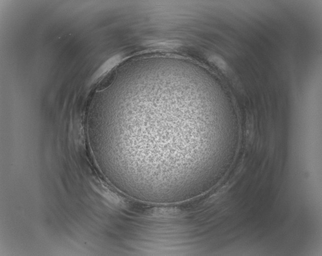 X0000078001354200611101743