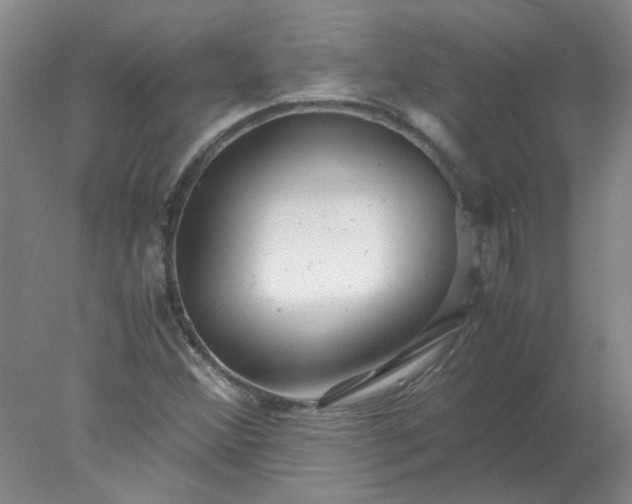 X0000078001356200611101743