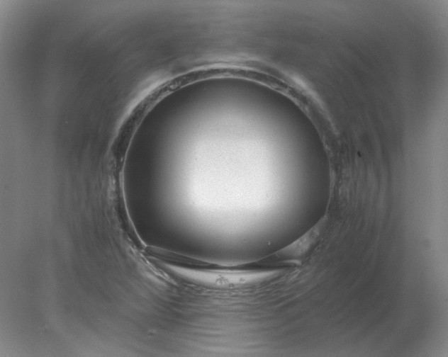 X0000078001360200611101743