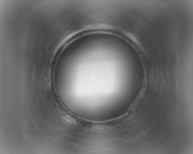 X0000078001364200611101743