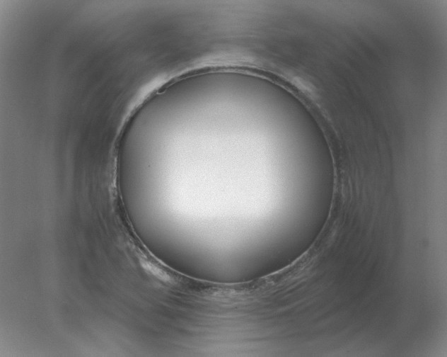 X0000078001366200611101743