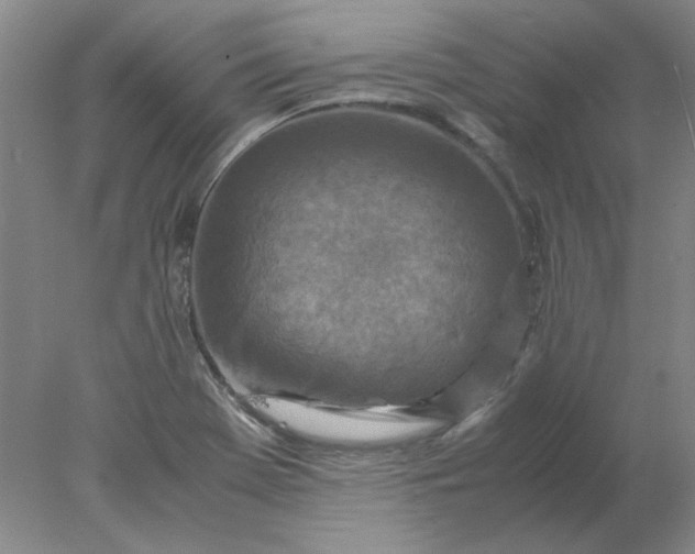 X0000078001369200611101743