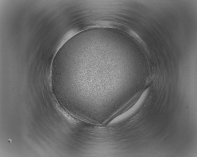 X0000078001378200611101743