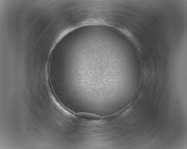 X0000078001382200611101743