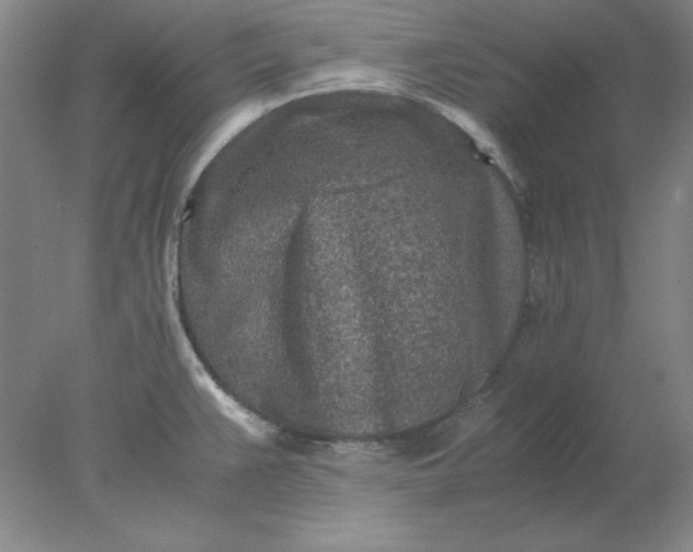 X0000078001383200611101743