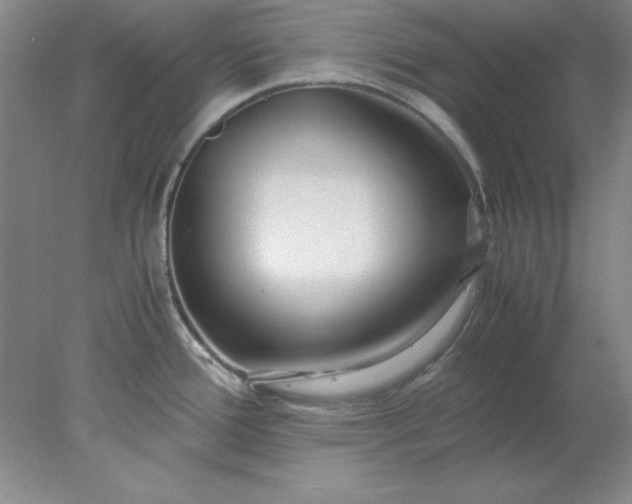 X0000078001388200611101743