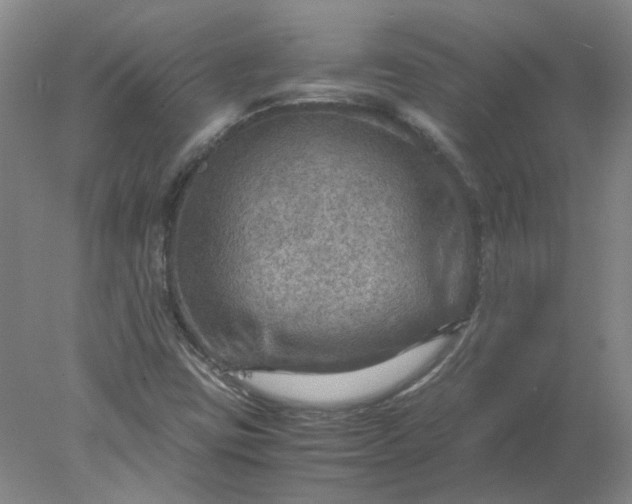 X0000078001403200611101742