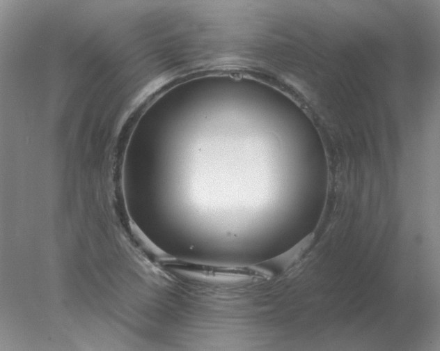 X0000078001410200611101742