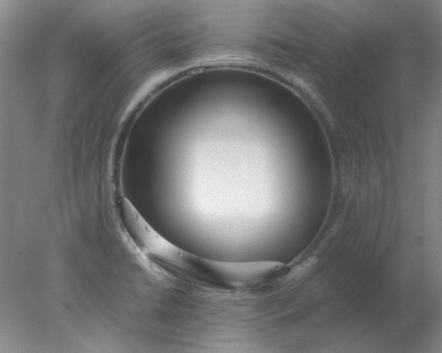 X0000078001422200611101742