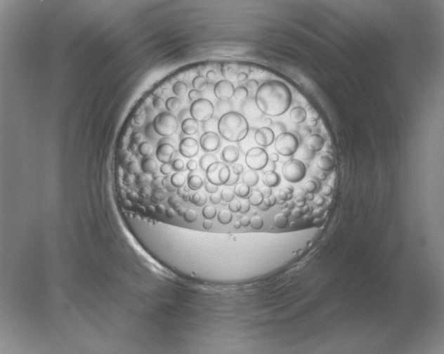 X0000078001432200611101743