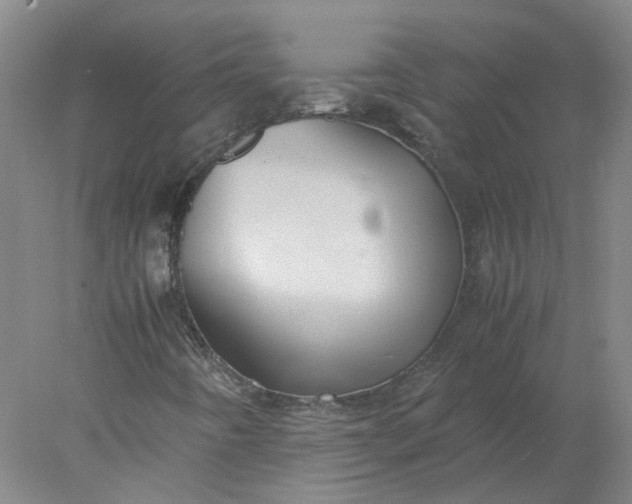 X0000078001442200611101742