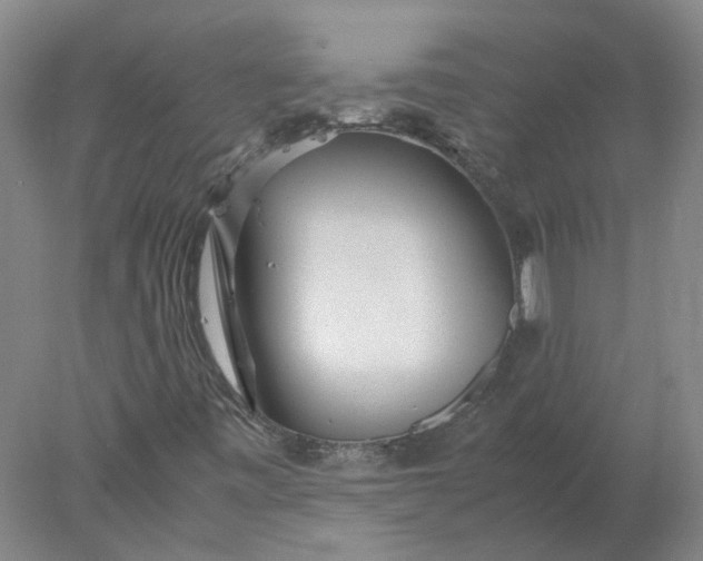 X0000078001443200611101742