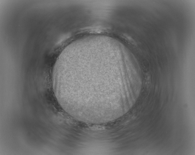 X0000078001446200611101742