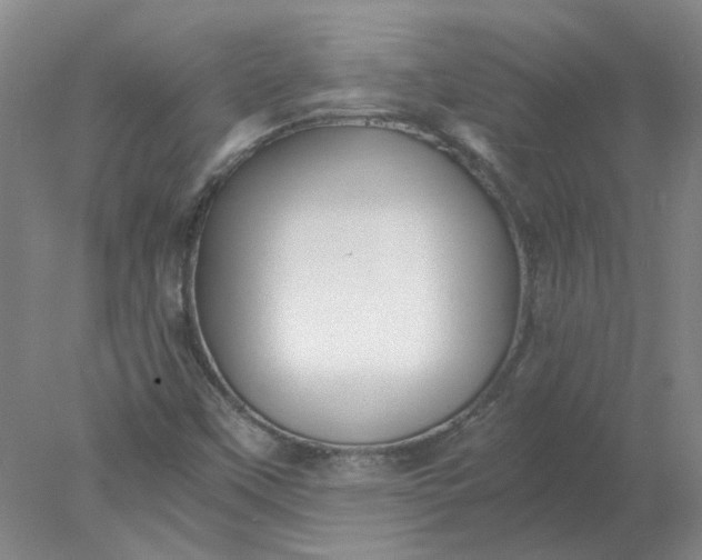 X0000078001451200611101742