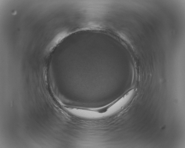 X0000078001455200611101742