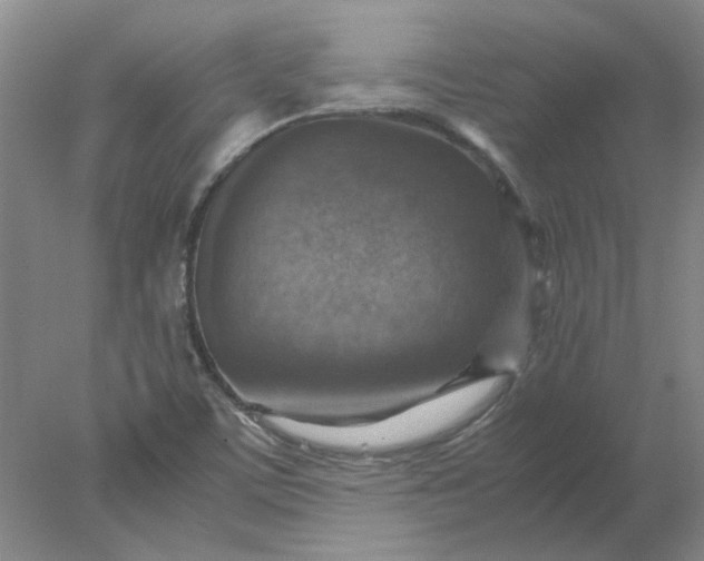 X0000078001459200611101742