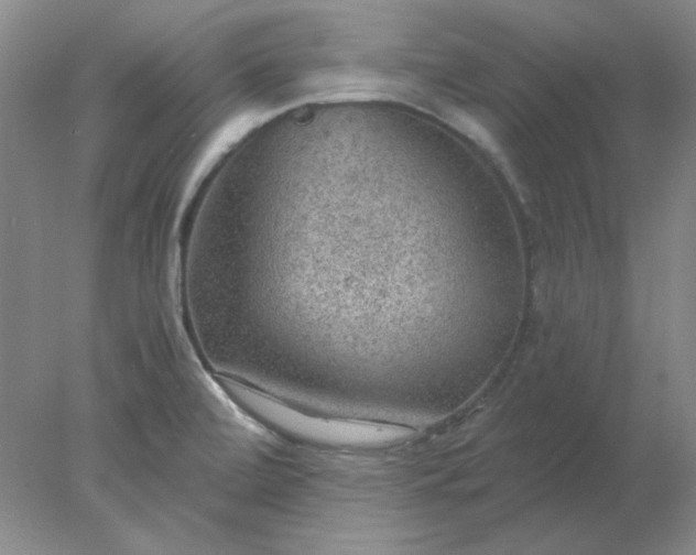 X0000078001472200611101741