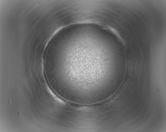 X0000078001476200611101741