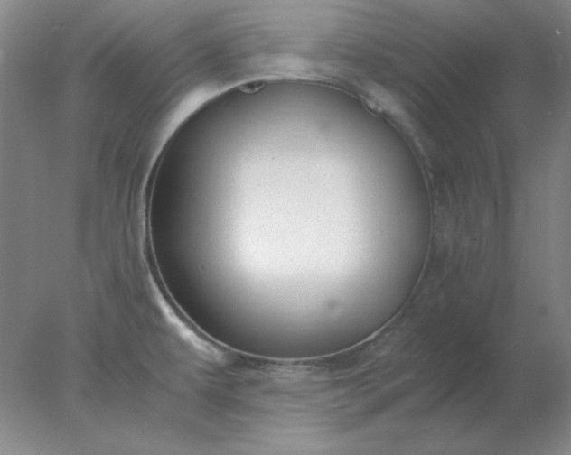 X0000078001479200611101741