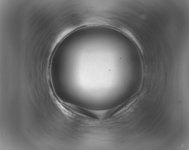 X0000078001485200611101741