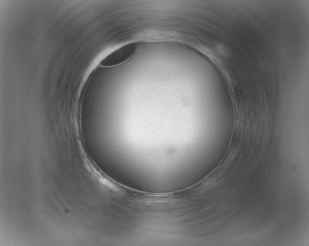 X0000078001486200611101741