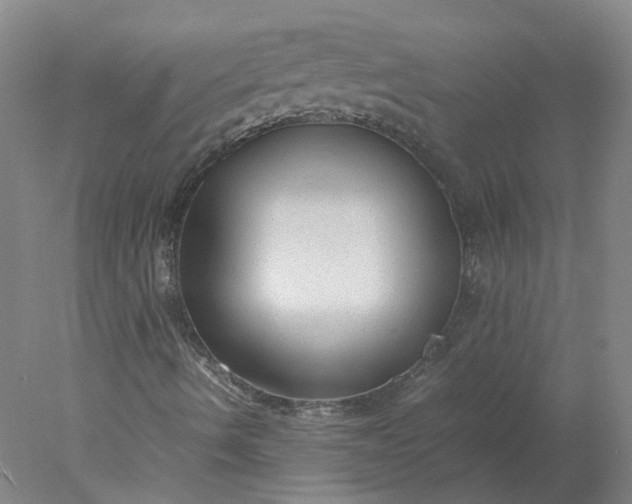 X0000078001490200611101740
