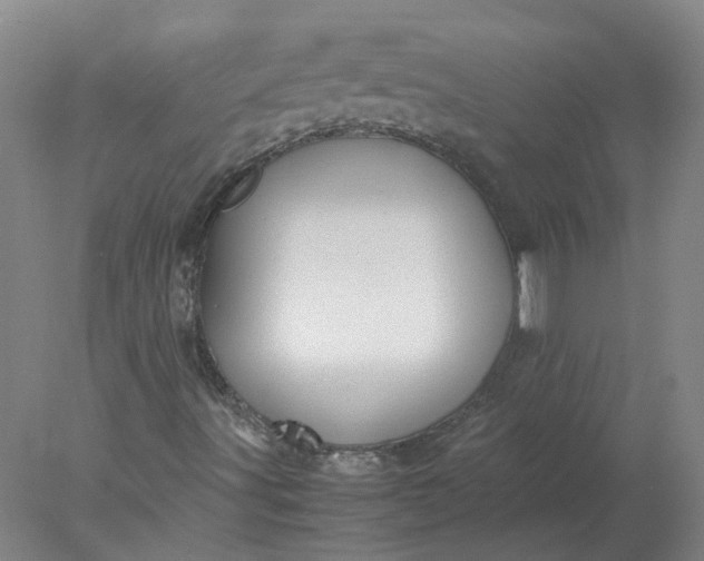 X0000078001491200611101740
