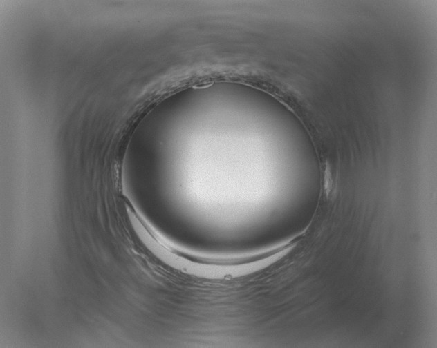 X0000078001492200611101740