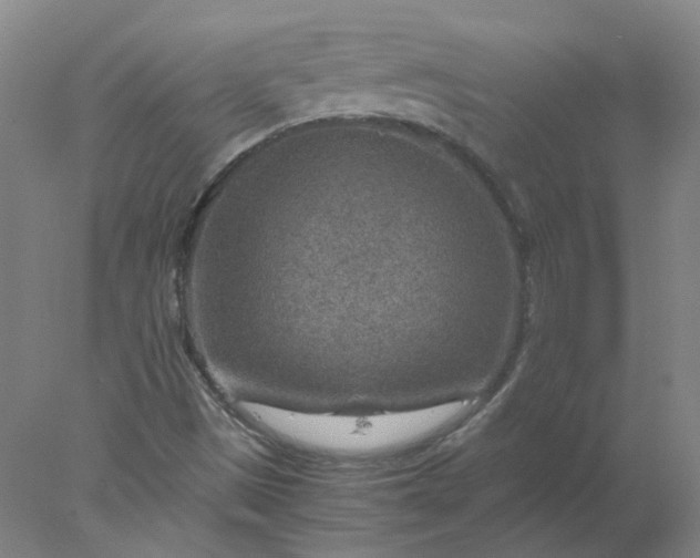X0000078001497200611101740