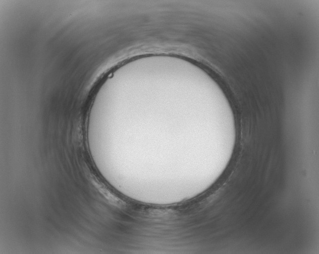 X0000078001498200611101740