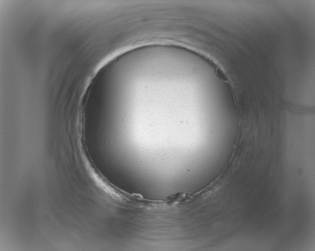 X0000078001526200611101741
