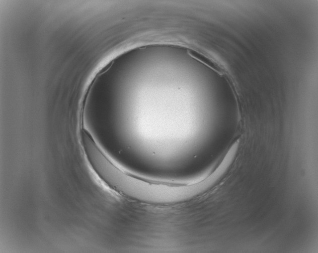 X0000078001528200611101741