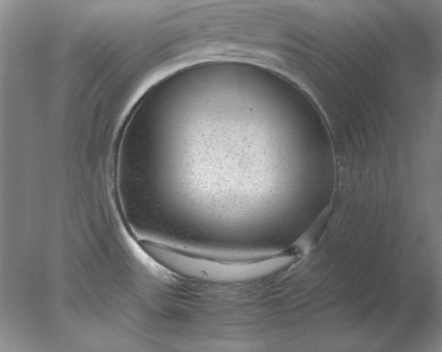 X0000078001531200611101741