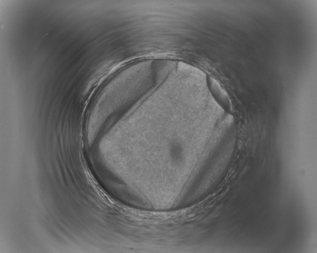 X0000078000002200611171832