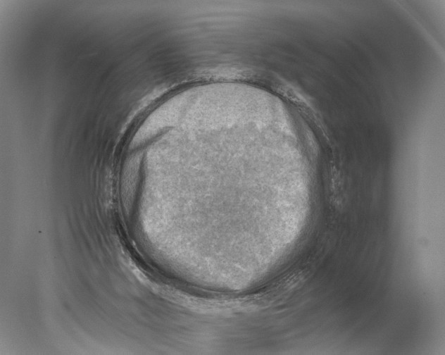 X0000078000012200611171832